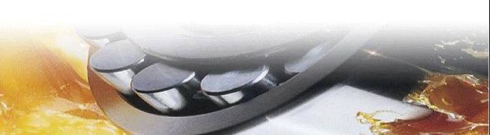 rodamiento grasa.jpg